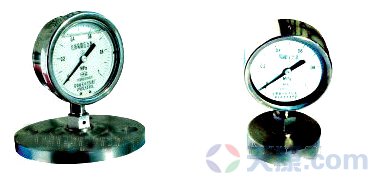 隔膜耐振壓力表